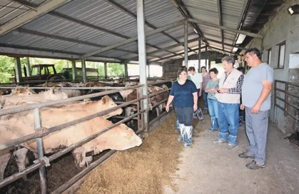 Pri Ličnovih v Gojačah, ki jih je včeraj obiskal strokovnjak za  živinorejo, morajo tako ali drugače nasititi 230 glav živine