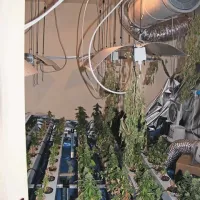 Stanovanje v koprskem mestnem središču je preuredil v prostor za hidroponično gojenje marihuane