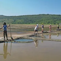 Tako so udeleženci poletnega mednarodnega tabora v solinah obnavljali nasipe pred nekaj leti. Tabor bodo organizirali tudi letos, a bo nekoliko okrnjen, saj ne bodo smeli pobirati soli. 