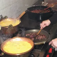 Izvajalke pomoči usposobijo tudi za kuho