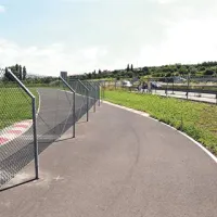 Ker so ob gradnji karting steze brez soglasja posegli na Darsovo zemljišče, so morali zdaj enega od ovinkov premakniti