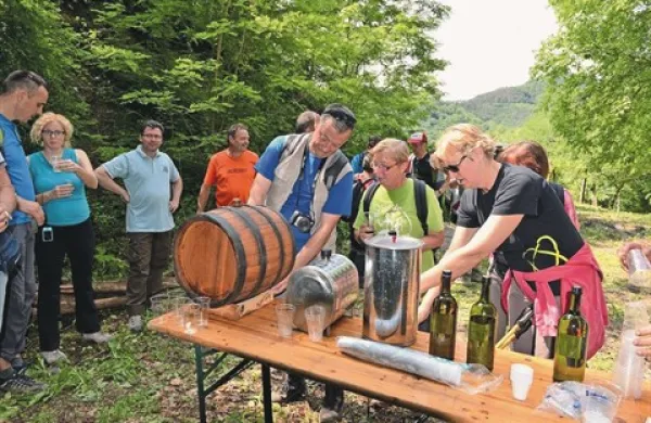 Med vinogradi in slapovi