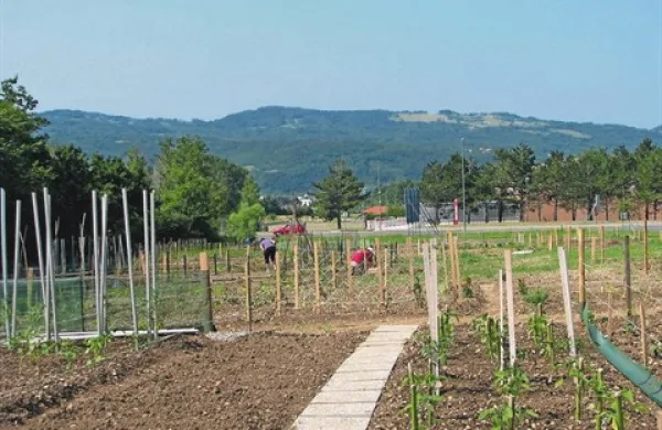 Tudi najemniki  si želijo, da bi bil prostor z vrtički urejen