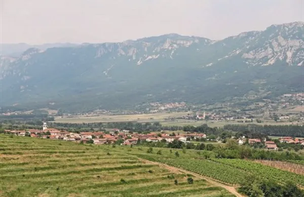 Prek projekta Vincult želijo na Vipavskem oblikovati tudi večdnevni počitniški paket
