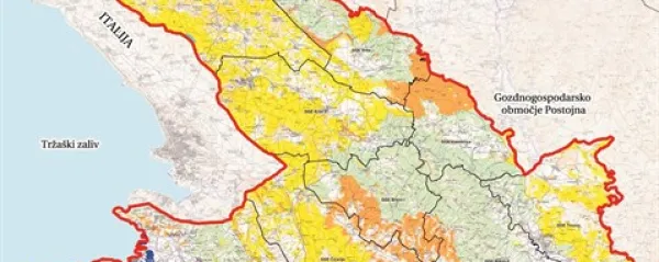 V gozdu smo gostje - na tujem zemlji&scaron;ču, v tujem ekosistemu