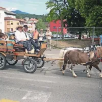 Tudi pridno poniji so vlekli svoj tovor