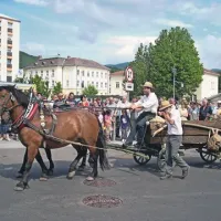 Ob letošnji 140. obletnici železniške proge Pivka  -  Reka so v Konjeniškem društvu Sv. Štefan iz Vipavske doline ponazorili prevoz švelerjev za izgradnjo železnice, ki je, kako ironično, izpodrinila furmanstvo