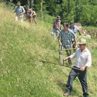 Košnja je vedno potekala v juniju in juliju, v največji poletni pripeki