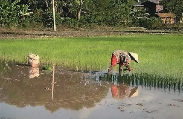 Skoraj 40 let po koncu vojne v Vietnamu sta se Vietnam in Laos dokončno dogovorila o poteku 2000 kilometrov meje med državama