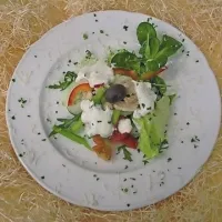 Obroki naj bodo lahko prebavljivi in ne preobilni 
