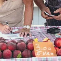So breskve res vaše, je zanimalo inšpektorico.