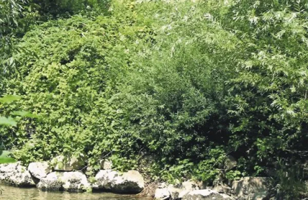 Ob primerni ceni kmetje ne bi črpali vode iz vodotokov in tvegali kazni