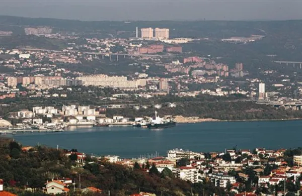 “Če bo projekt terminala v Žavljah oziroma v severnem Jadranu ostal na seznamu evropskih energetskih  projektov, si Slovenija sama lahko pripiše precejšen del krivde. Premalo odločno je pokazala svoje nasprotovanje temu projektu,” je razočarana evropska