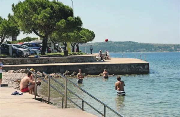 Tudi v slovenskem morju se pogosto pojavljajo meduze, po navadi nas ožgejo mesečinke 