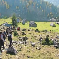Ne le ob odhodu v gozd in na travnik, klopa lahko staknete tudi v hribih 