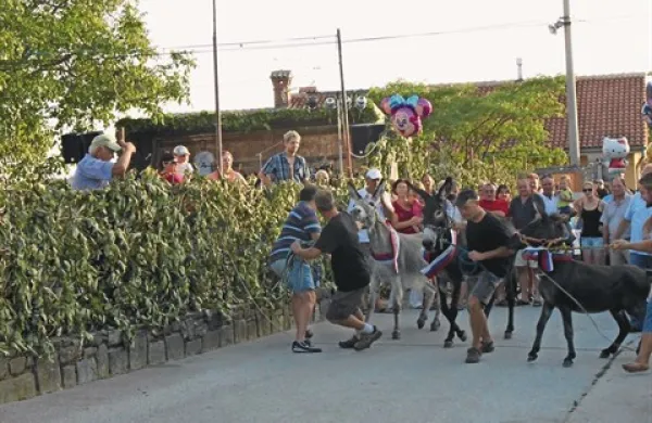Na tradicionalni loparski fjeri je bilo vse v znamenju trojke: trije dnevi, trije oslički 