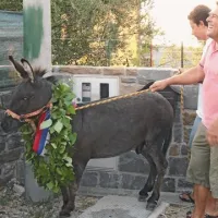 V Loparju je bil najhitrejši osel Marko