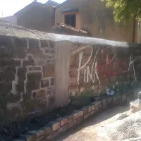 Pred desetimi leti je v divjem okolju  razpadajočega javnega objekta Dopolavor v Dekanih vzklilo avtohtono drevo koprivovec-ladonja, ki pa ga je nekdo pred dnevi posekal