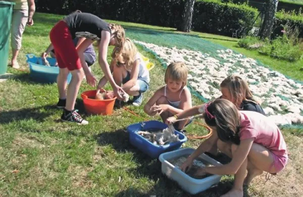 Ječmen in tritikala sta dozorela, zato so ju učenci poželi s srpom