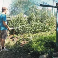 Tudi za zalivanje vrtov, ki je te dni vsakodnevno opravilo,  bodo letos Kraševci plačali za vodo kar zajetno vsoto 