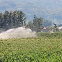 Za letos je najbrž konec najhujše vročine, a ne tudi namakanja njiv s koruzo, solato ...