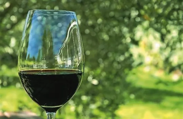 Fotografiaj je simbolična