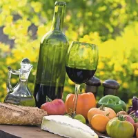 Kjer sta vino in hrana, se rade pojavijo majhne mušice