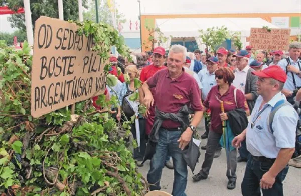 Dolenjski vinogradniki so včeraj v Gornji Radgoni pripravi protest proti nesorazmernemu povišanju obremenitev