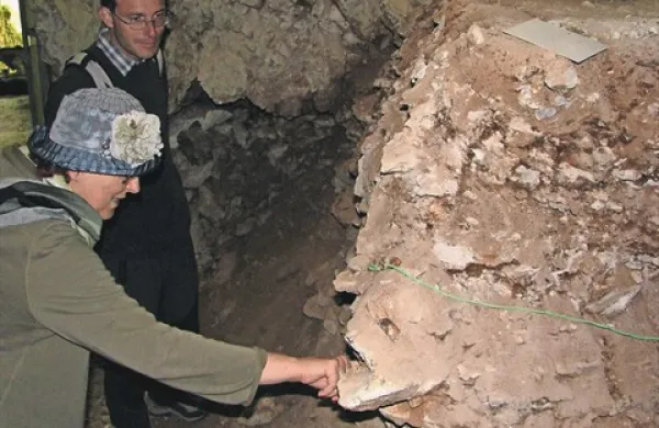 Raziskovanja naj bi vodil arheolog Matija Turk, ki je kot deček prisostvoval delu svojega  očeta dr. Ivana Turka in tudi najdbi piščali