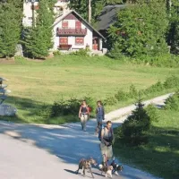 Sviščakarji so na srečanju potarnali, da imajo težave s kaljenjem nočnega reda in miru ter nekaterimi sprehajalci, ki svojih psov nimajo na povodcih niti za njimi ne pobirajo pasjih iztrebkov 