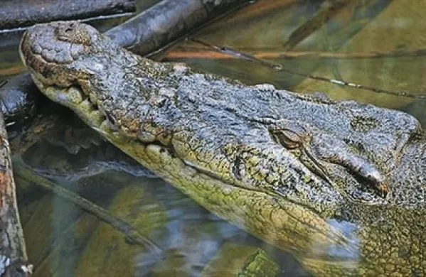 Fotografija je simbolična