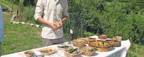 Gregor Božič