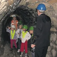 Birokrata, ki bi pomislil na kaj takega, bi bilo treba takoj odpustiti, o zamisli, da bi potopili rudnik, pravi Bojan Režun 