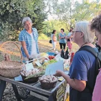“Mene pa zanima vaš česen!” je obiskovalka na Pomjanu ogovorila ponudnico domače zelenjave