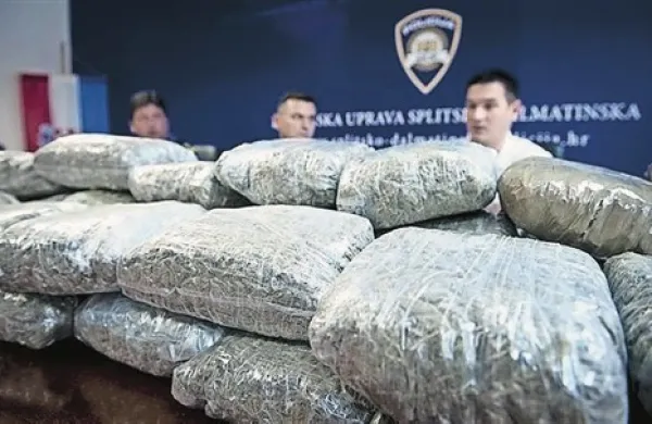 Pod prazno krsto so našli 83 kilogramov konoplje