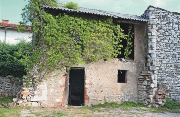 Razvalino bodo preuredili v Hišo opajske tradicije, ki bo  v  kraškem stilu 