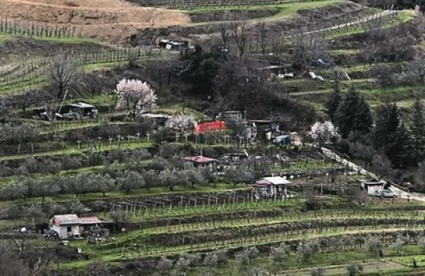 Izolska občina bo predvidoma do konca leta sprejela nov odlok, ki naj bi določil tudi možnost umestitve pomožnih kmetijskih objektov v prostor