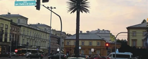  Varšavsko palmo so v sredino krožišča Charlesa De Gaulla postavili leta 2002 kot del začasne umetniške razstave. Ljudje so jo, čeprav umetno, sčasoma vzeli za svojo. Ko je namreč pred sedmimi leti neurje skoraj odneslo njen vrh in so jo mestne oblasti