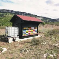 Čebelarsko društvo Koper je v čebelnjak naselilo prve čebelje družine