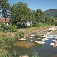Nekoč svetel Ideal se vse bolj sesuva