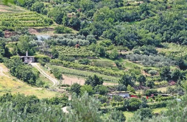 Eno je gotovo: brez obdelanih teras izolska krajina ne bi bila to, kar je. Za obdelavo pa so  kmetijski objekti nepogrešljivi.  