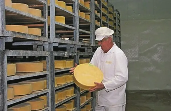 Italijanski kupec vipavske mlekarne se bo posvetil samo proizvodnji nanoškega sira in mocarele