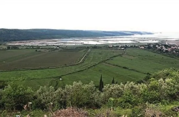V zadnjih  mesecih se je na piranski upravni enoti zelo povečalo število vlog za gradnjo na kmetijskih zemljiščih,  z odlokom pa je želela občina  postaviti jasna pravila gradnje na  najkakovostnejši zemlji