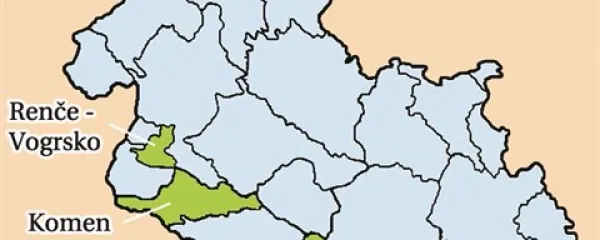 Nad brezglavost z brezglavostjo