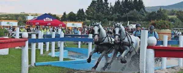 Na maratonski tekmi sta  obvezna čelada in varnostni brezrokavnik