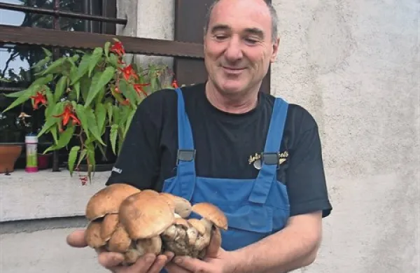 Kar 23 jurčkov v eni &ldquo;družini&rdquo;