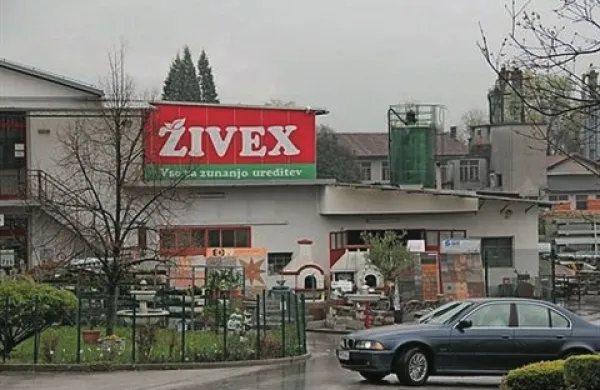 Živex v prisilni poravnavi posluje z dobičkom
