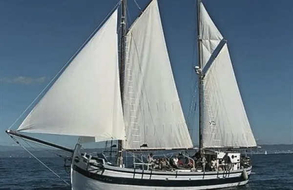 V četrtek bo iz Benetk v Piran priplula trabakula Isola d'oro