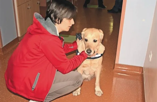 Monika Rijavec in terapevtska psička - labradorka Bella