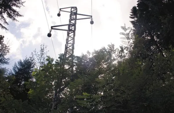 Sprehajalec je truplo našel pod daljnovodom na Rakah